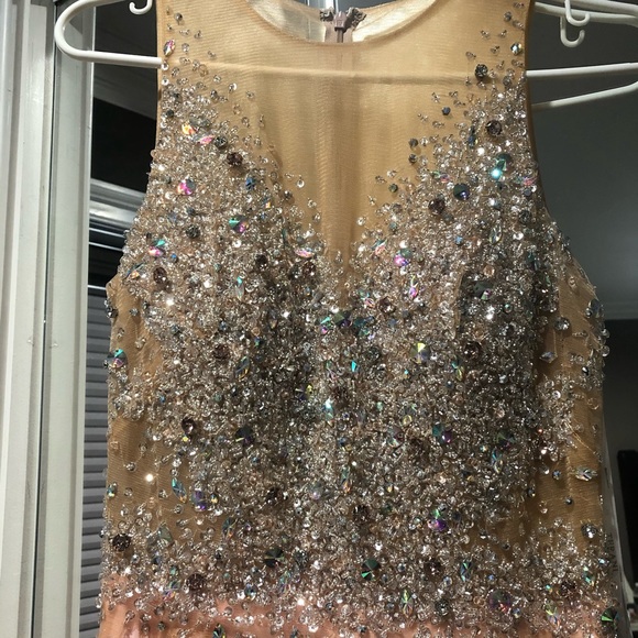 Terani Couture Pink Crystal illusion Dress-BNWT - Picture 5 of 10